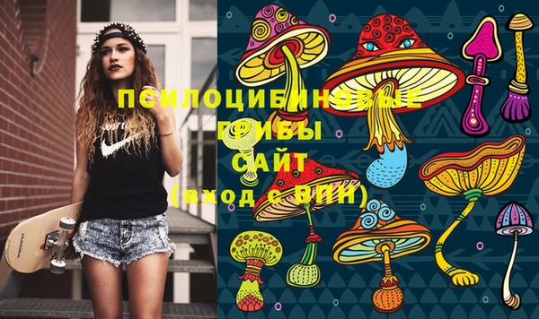прущие грибы Пролетарск