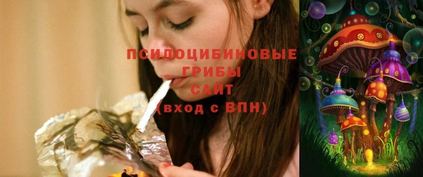 дмт Алзамай
