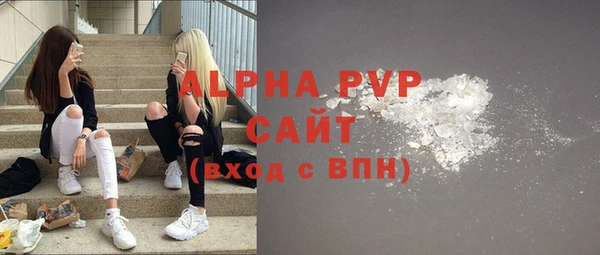 стаф Алексин