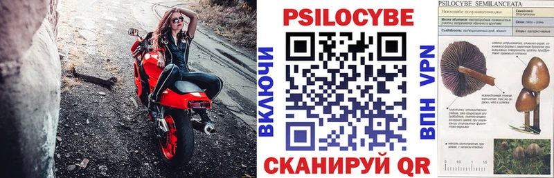 Псилоцибиновые грибы мухоморы Грязовец